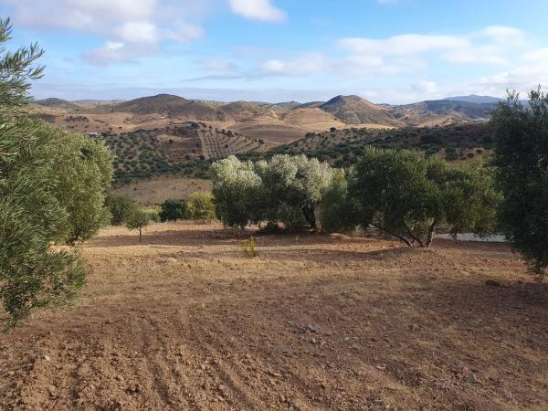 Terreno en A-343, km 4 photo 2