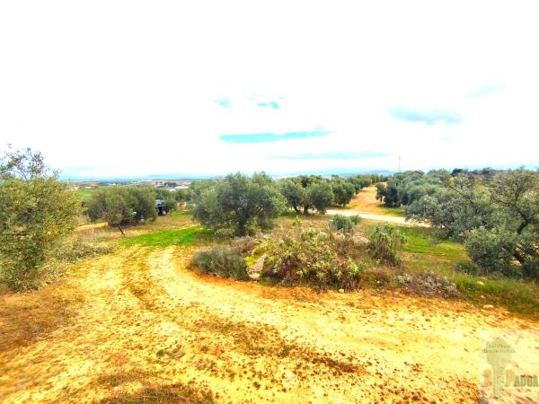 Terreno en Campillos photo 2