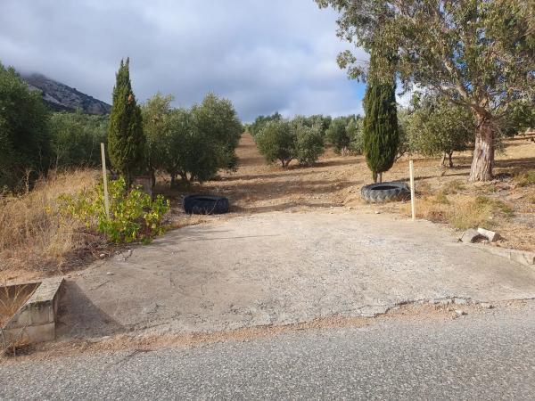 Terreno en A-343, km 4 photo 3