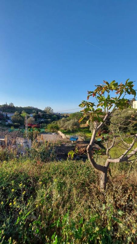 Terreno en venta en Benajarafe, Malaga photo 4