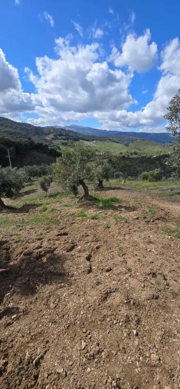 Land for sale in Yunquera, Malaga photo 5