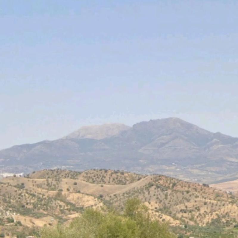 Land for sale in Coin, Malaga photo 5