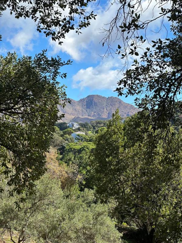 Działka na sprzedaż w Casares, Malaga photo 3