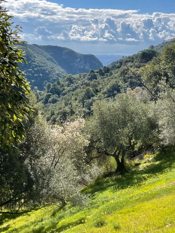 Działka na sprzedaż w Casares, Malaga photo 4