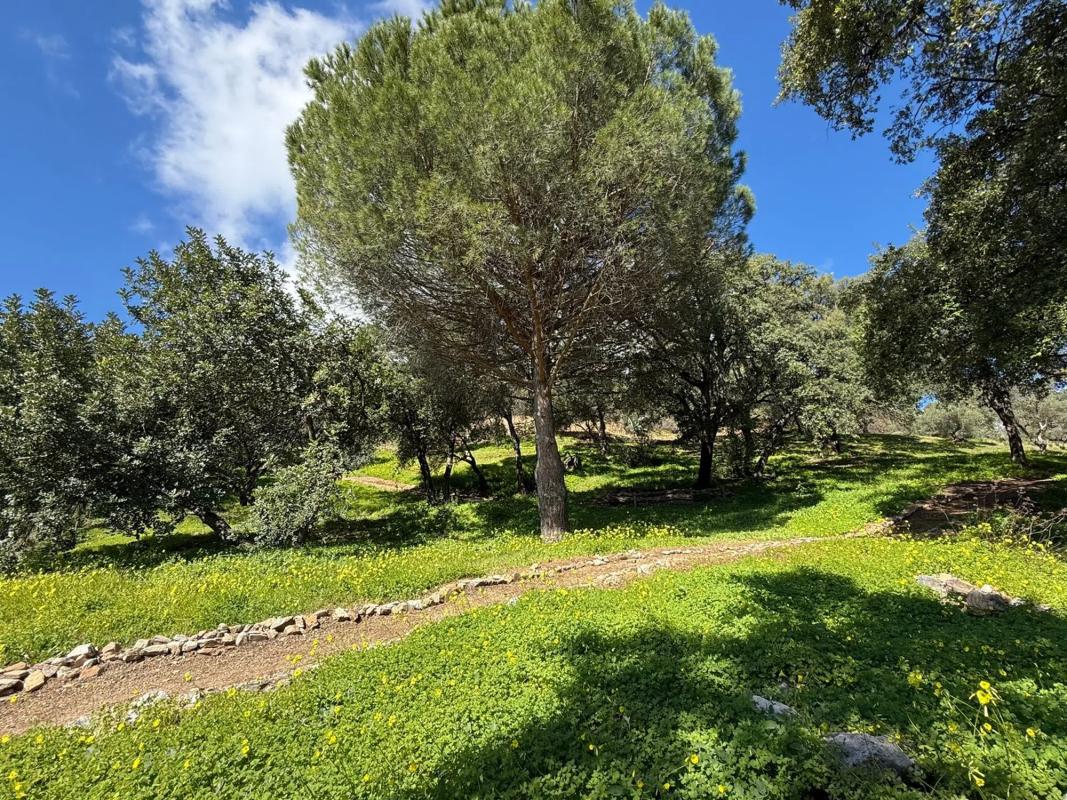 Działka na sprzedaż w Casares, Malaga photo 5
