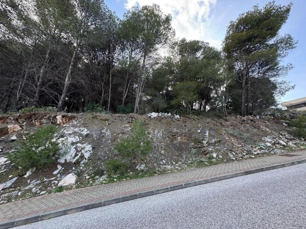 Terreno en venta en Alhaurín de la Torre, Malaga photo 2