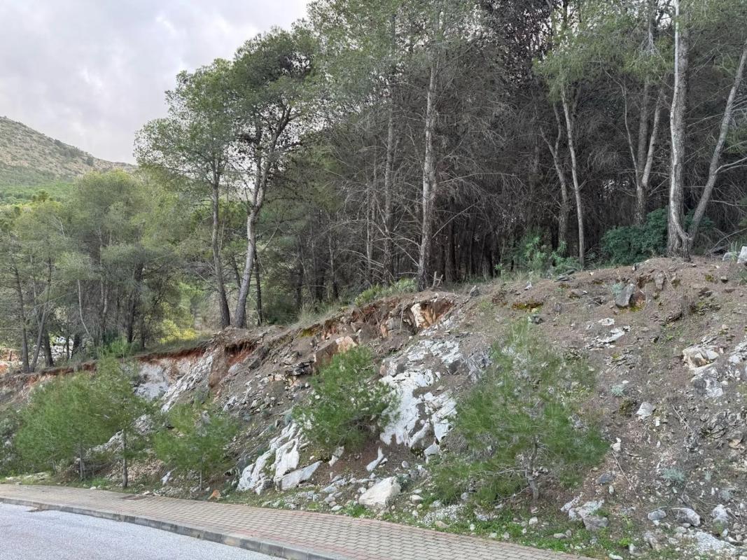 Land for sale in Alhaurín de la Torre, Malaga photo 3