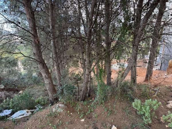 Terreno en Pinos de Alhaurín photo 2