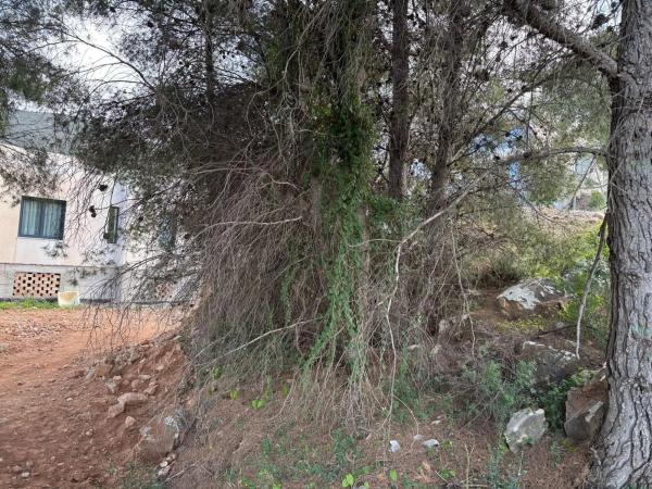 Terreno en Pinos de Alhaurín photo 4