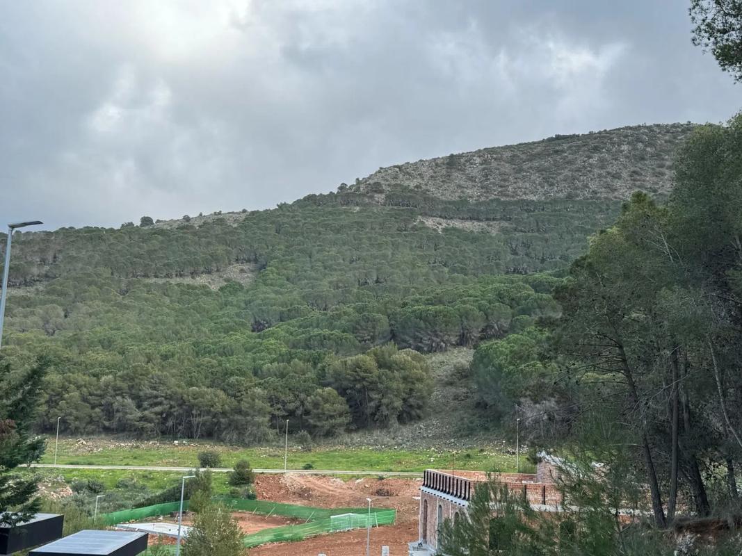 Land for sale in Alhaurín de la Torre, Malaga photo 2