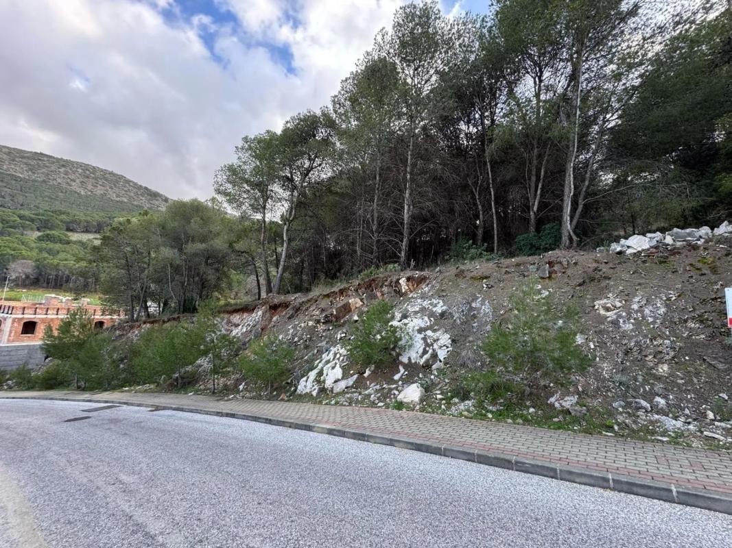 Land for sale in Alhaurín de la Torre, Malaga photo 5