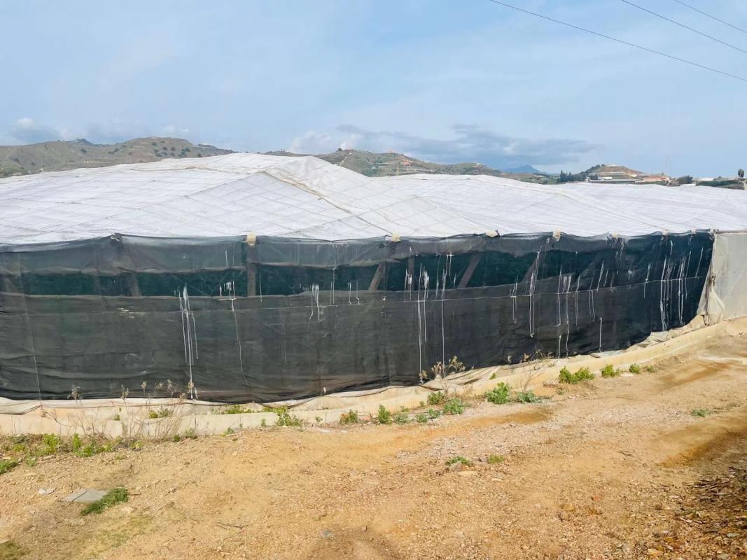 Terreno en venta en Torrox, Malaga photo 4