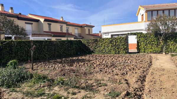 Terreno en calle pedrera photo 1