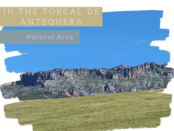 Terreno en Ma-3403, km 3 photo 2