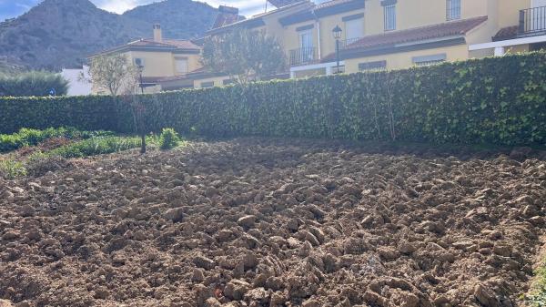 Terreno en calle pedrera photo 2