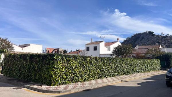 Terreno en calle pedrera photo 4