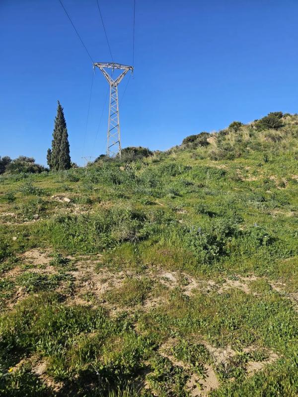 Terreno en venta en Benalmádena, Malaga photo 3