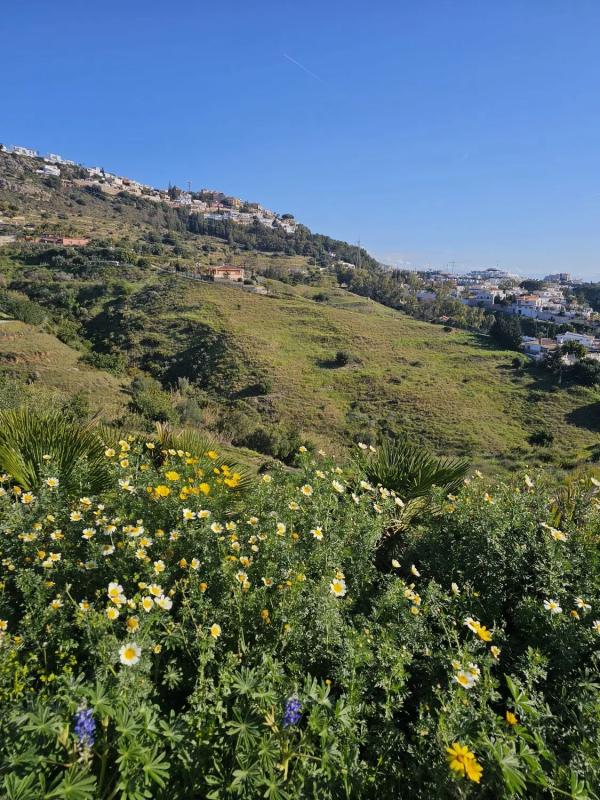 Terreno en venta en Benalmádena, Malaga photo 5