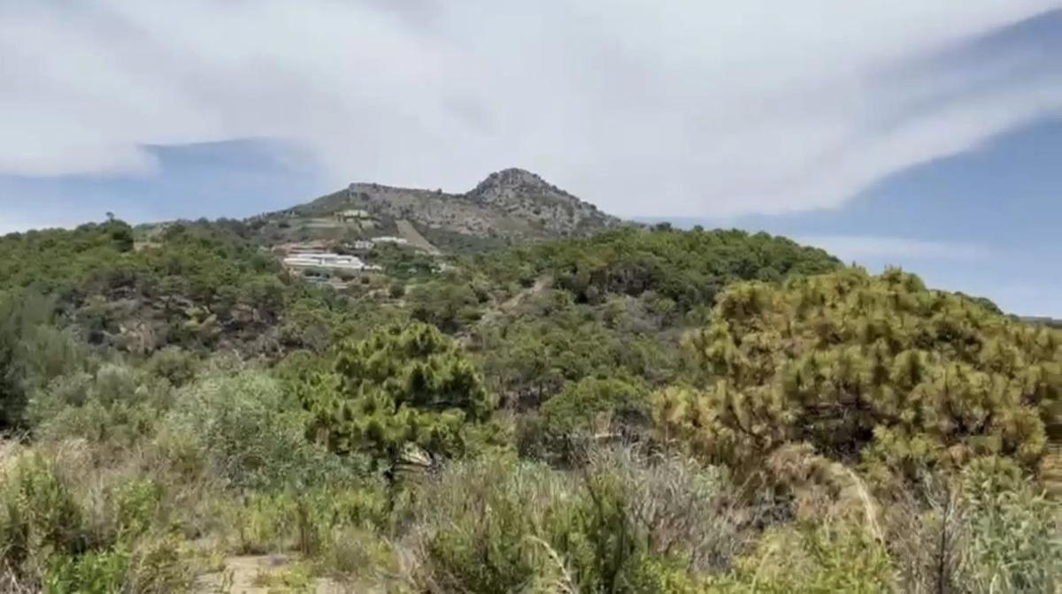 Terreno en venta en Benahavís, Malaga photo 3