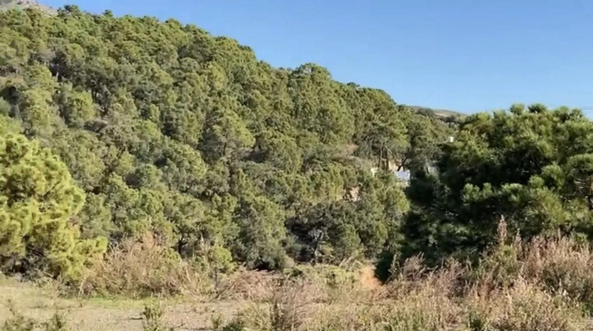 Terreno en venta en Benahavís, Malaga photo 4