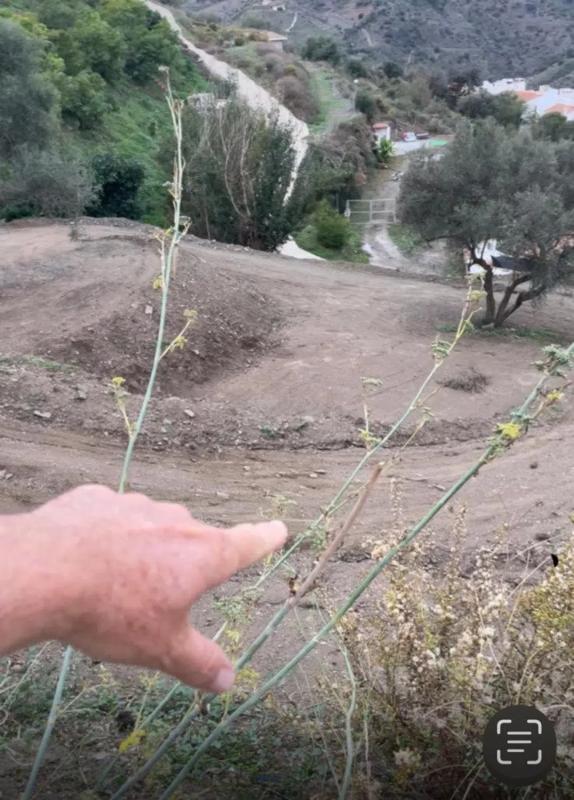 Terreno en venta en Sayalonga, Malaga photo 1