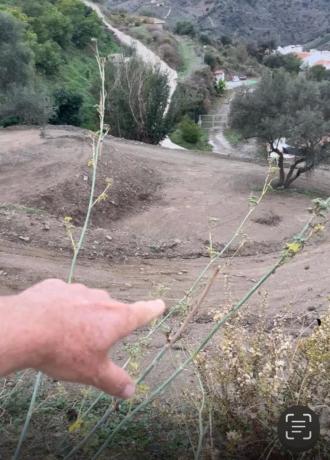 Terreno en Sayalonga photo 1