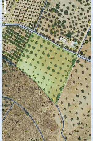 Terreno en Poligono 42, 250 photo 2