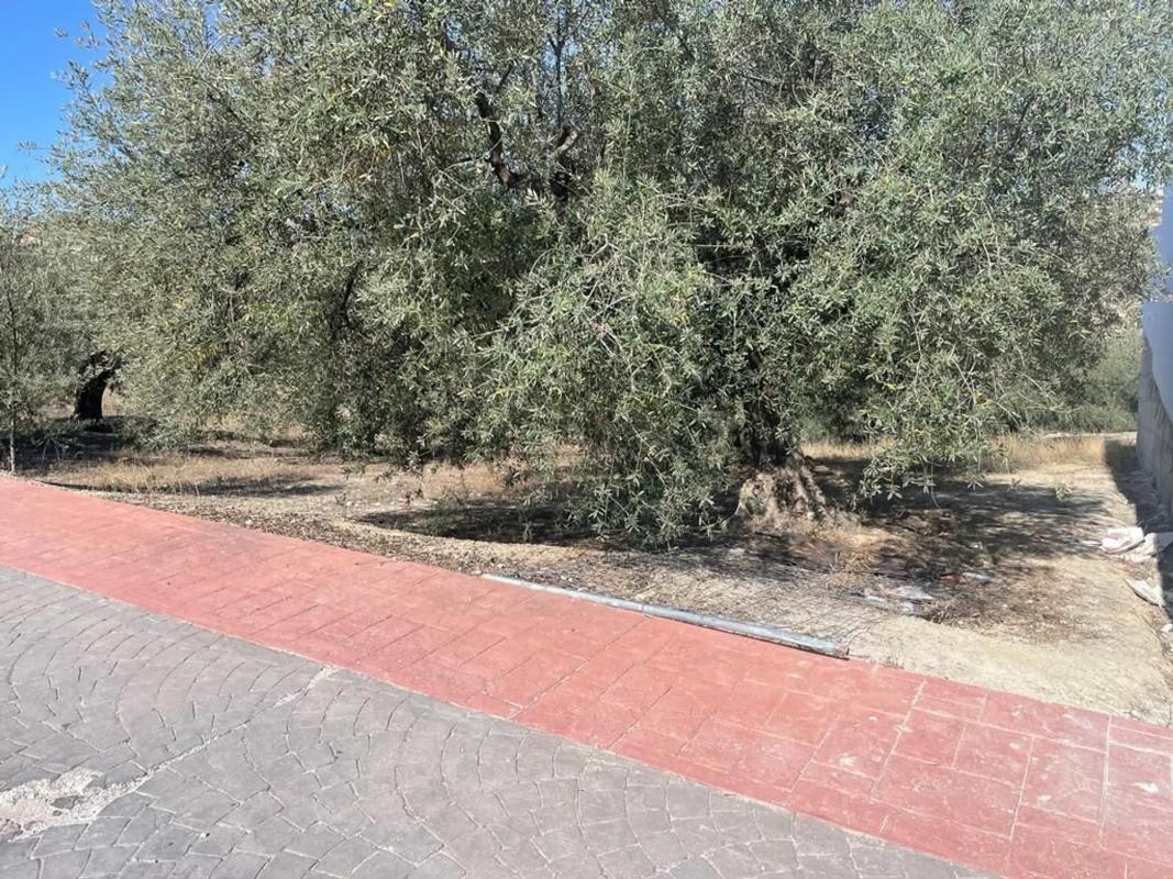 Terreno en venta en Viñuela, Malaga photo 1