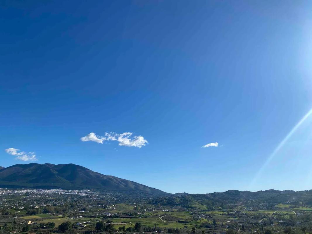 Działka na sprzedaż w Moneta, Malaga photo 4
