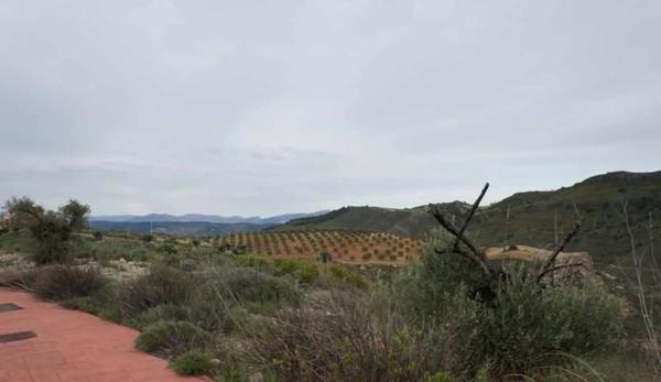 Terreno en Arrabal Urb Antequera Golf photo 3