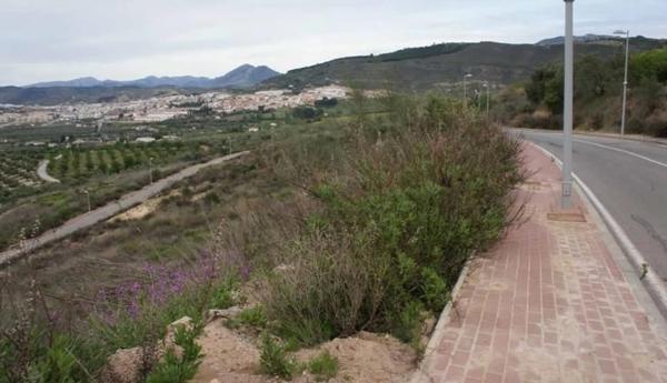 Terreno en Arrabal Urb Antequera Golf thumbnail 1