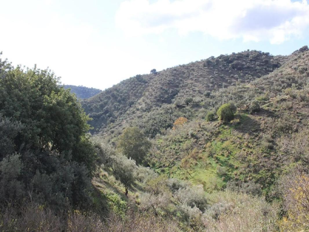 Land for sale in Málaga, Malaga photo 2