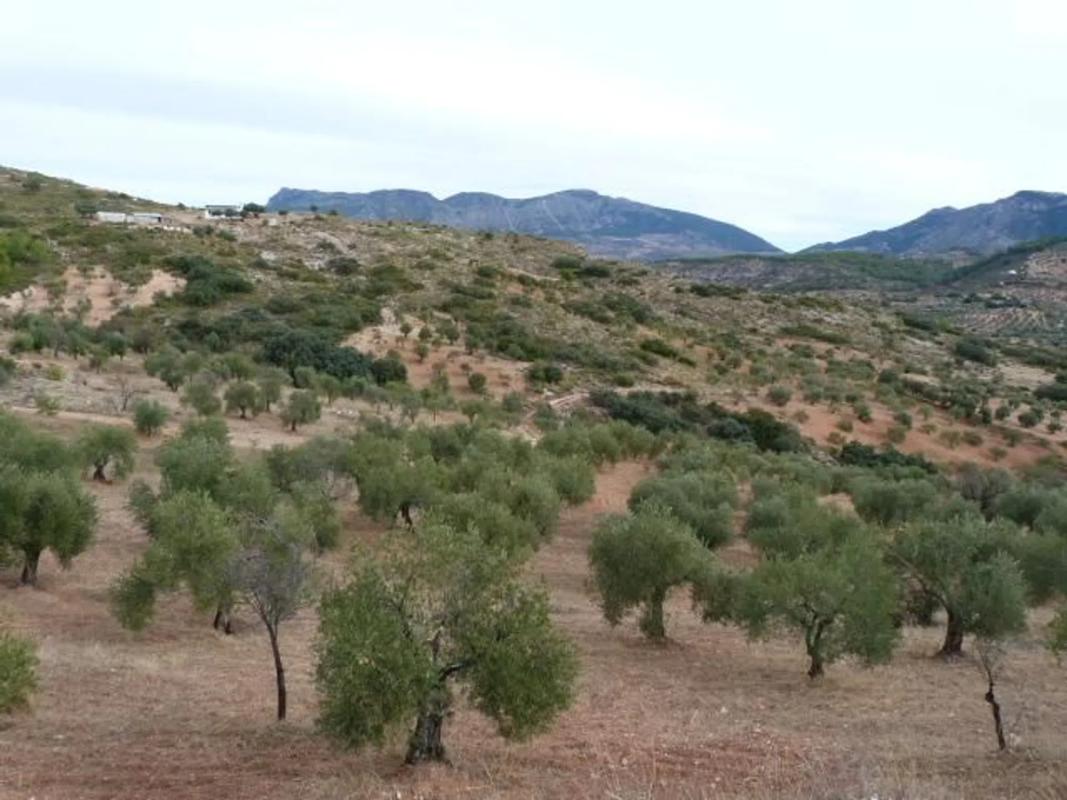 Land for sale in El Burgo, Malaga photo 1