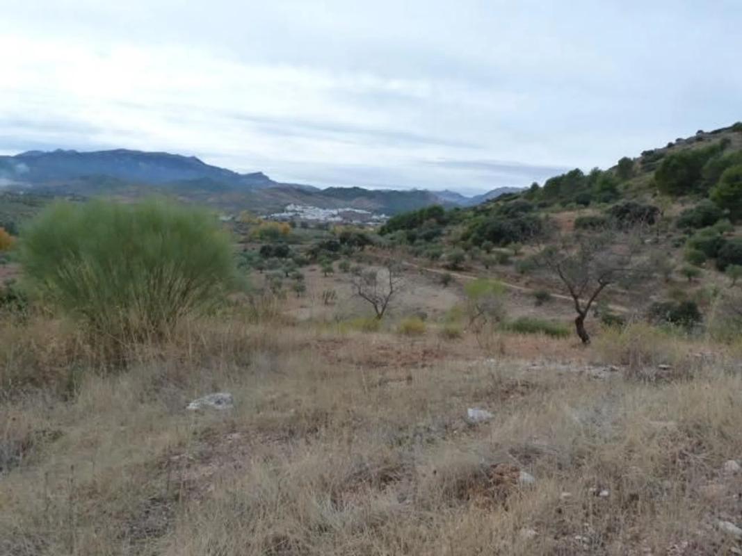Land for sale in El Burgo, Malaga photo 3