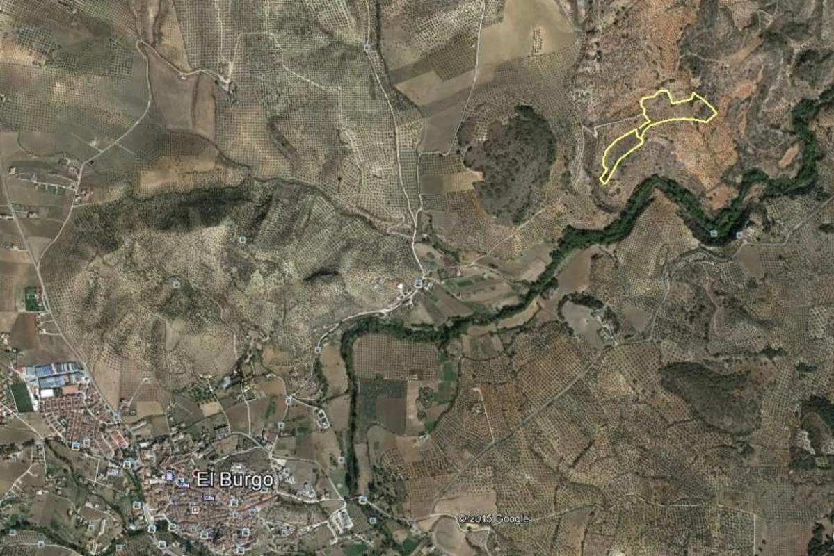 Land for sale in El Burgo, Malaga photo 4