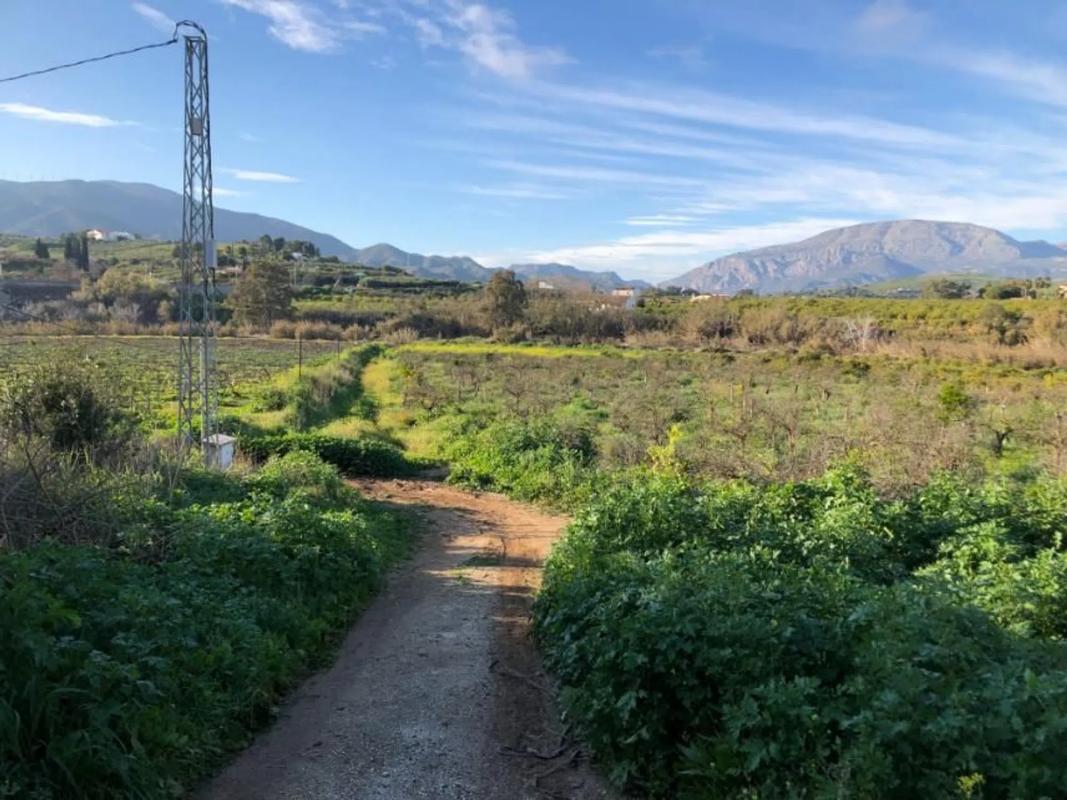 Land for sale in Alora, Malaga photo 5