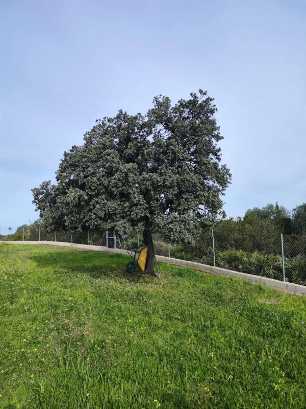 Działka na sprzedaż w Alhaurín de la Torre, Malaga photo 1