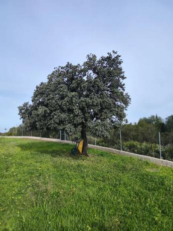 Terreno en camino del Tambor photo 1