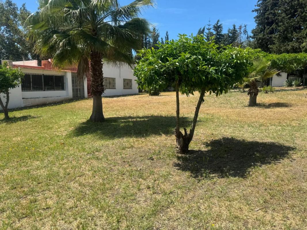 Terreno en venta en Marbella, Malaga photo 4