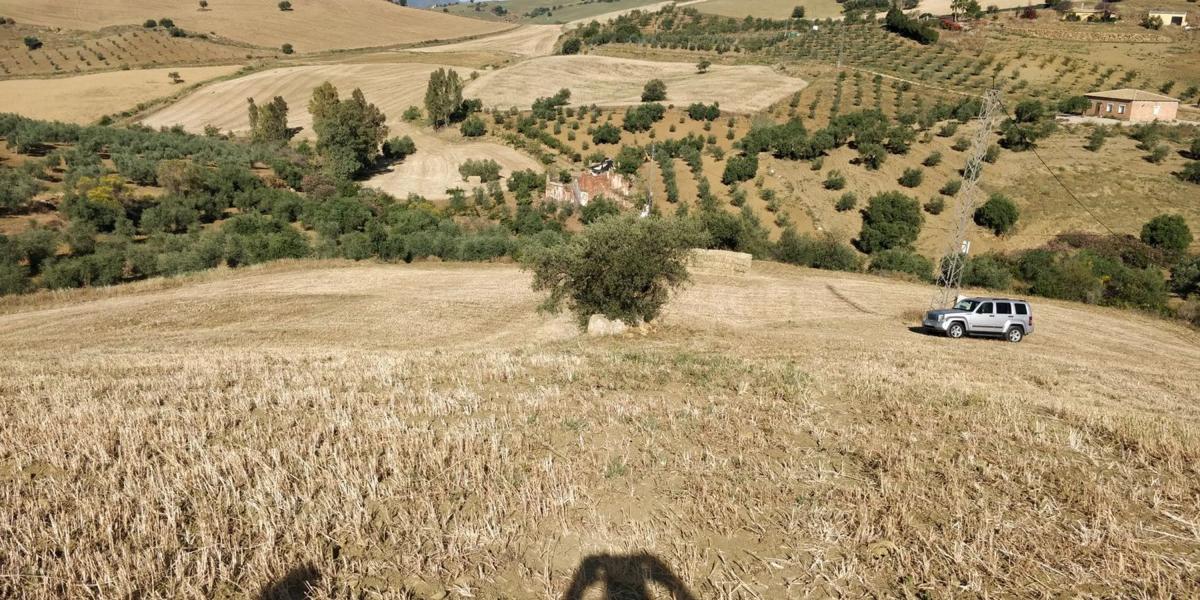 Участок земли на продажу в Вильянуэва-де-ла-Консепсьон, Малага photo 4