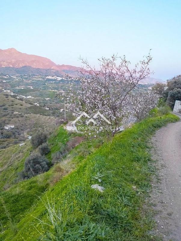 Działka na sprzedaż w Torrox, Malaga photo 1