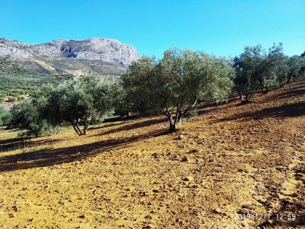 Terreno en aldea de la laguna s/n photo 1