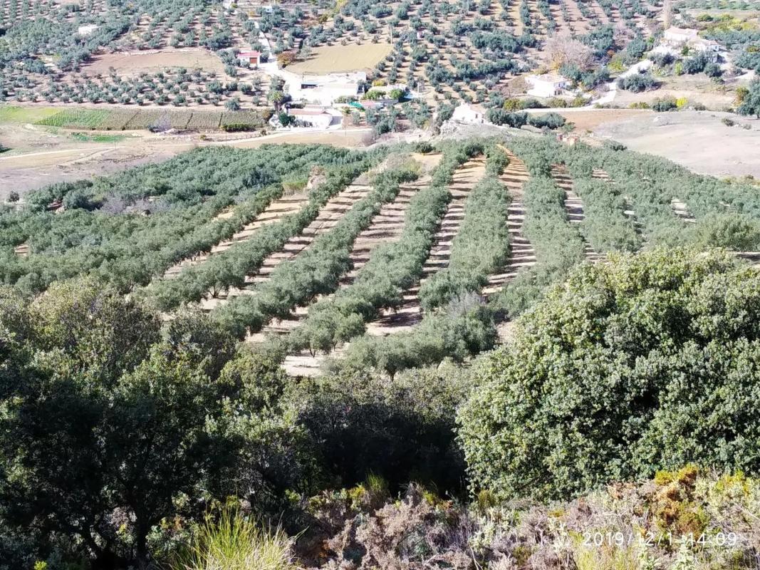 Terreno en venta en Periana, Malaga photo 2
