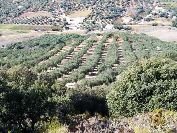 Terreno en aldea de la laguna s/n thumbnail 1