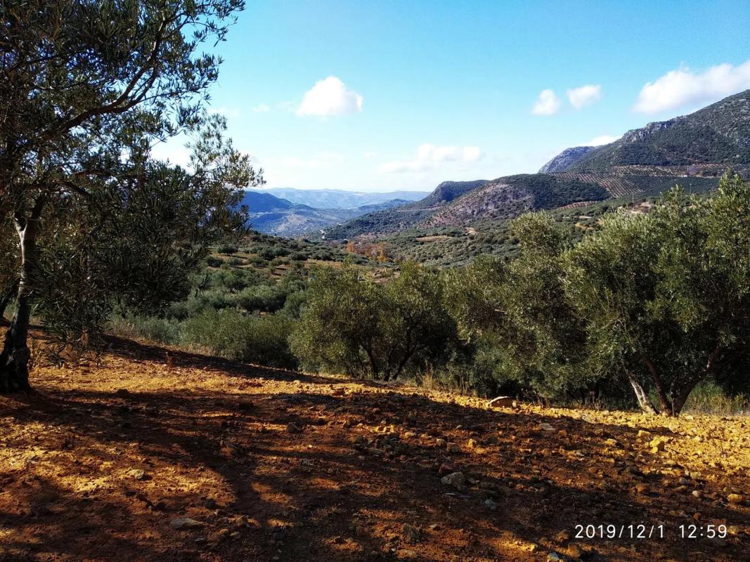 Terreno en venta en Periana, Malaga photo 4