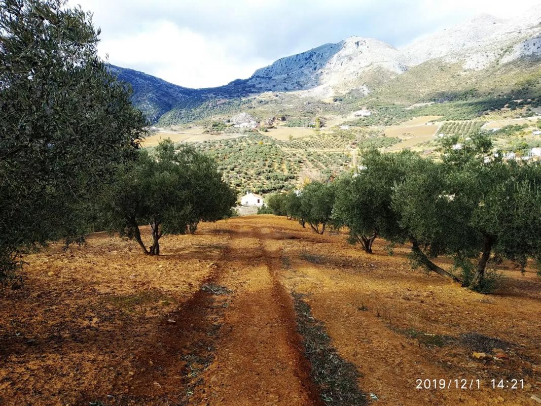 Terreno en venta en Periana, Malaga photo 5