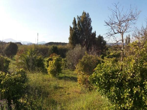 Terreno en camino Caserío las Castañetas photo 2