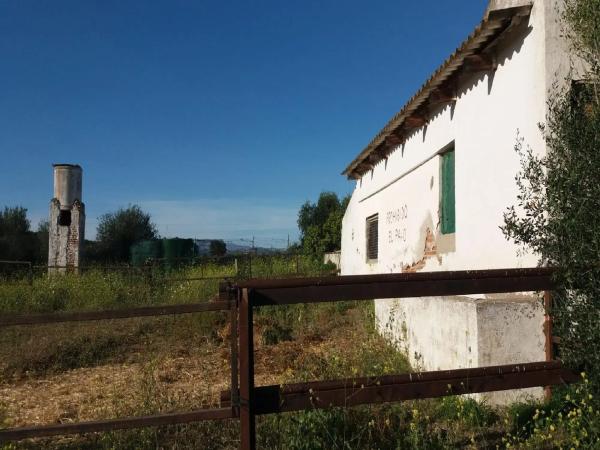 Terreno en camino Caserío las Castañetas photo 4