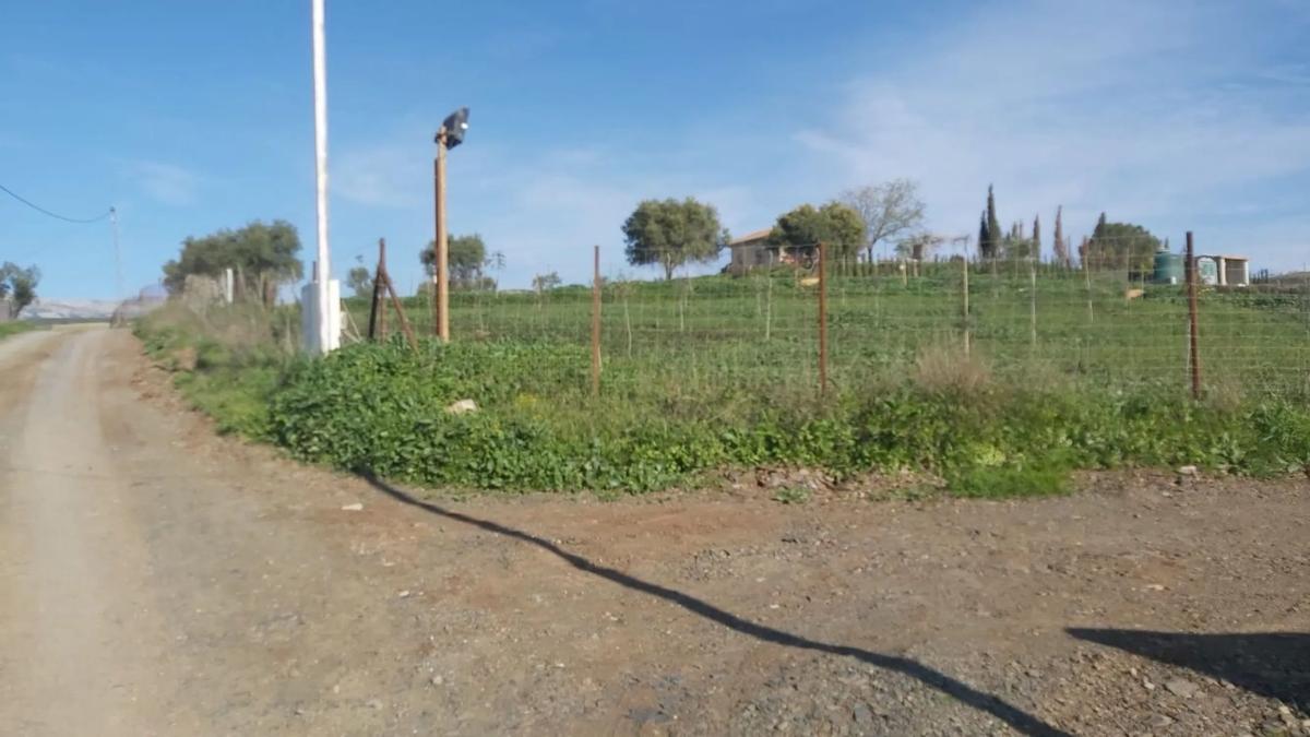 Terreno en venta en Almogía, Malaga photo 3