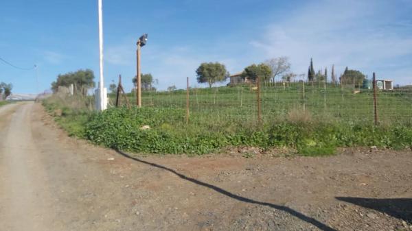 Terreno en Almogía photo 3